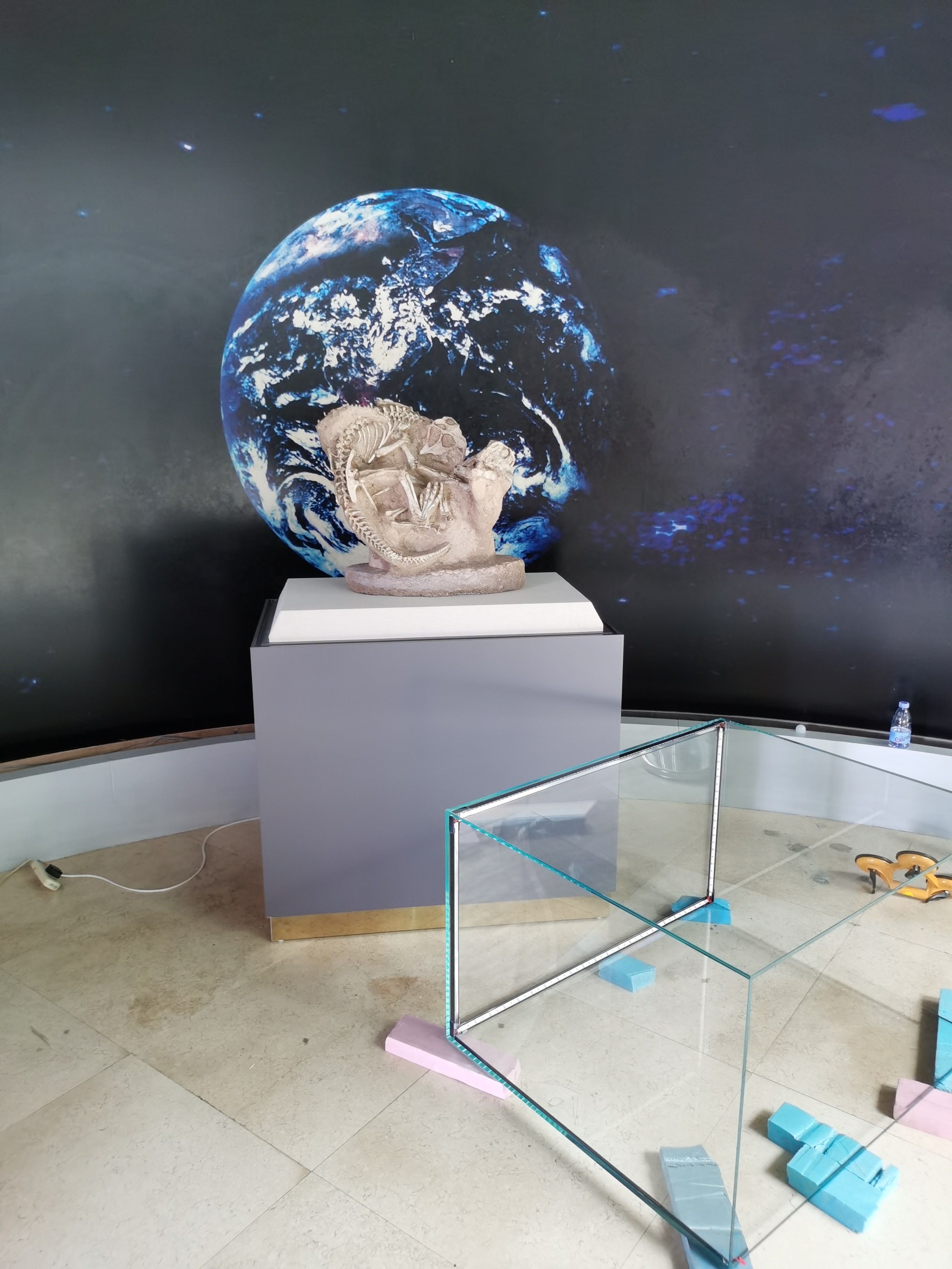 博物館展柜保養(yǎng)指南：守護(hù)文化遺產(chǎn)的“無(wú)聲衛(wèi)士”